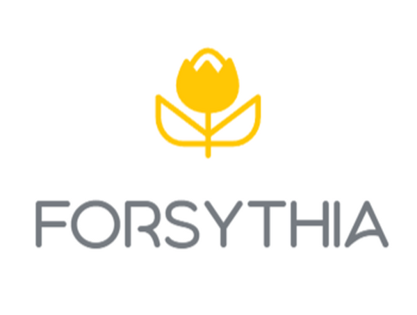 Forsythia